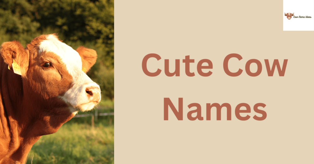 Cute Cow Names