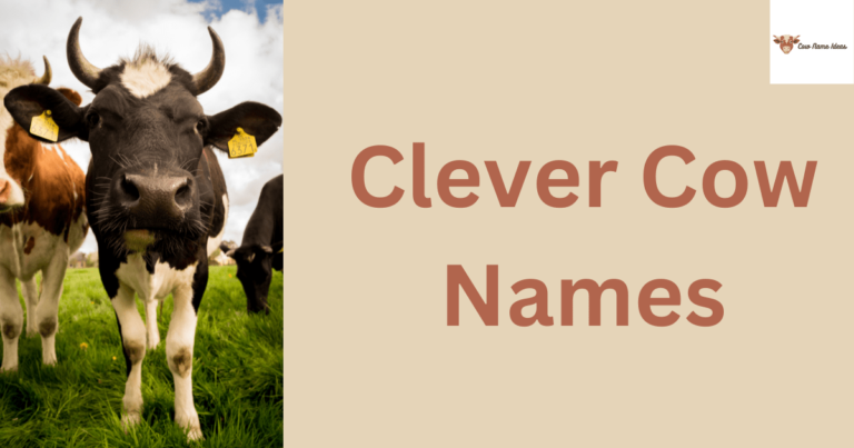 99 Clever Names for Cows [With Meanings]