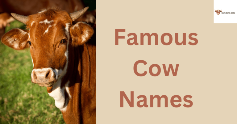 35 Famous Cow Names [With Meanings]