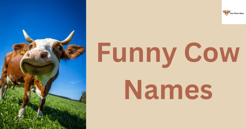 Funny Cow Names