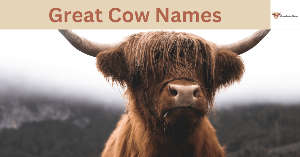 Great Cow Names