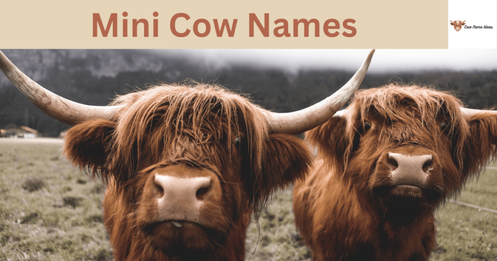 Mini Cow Names