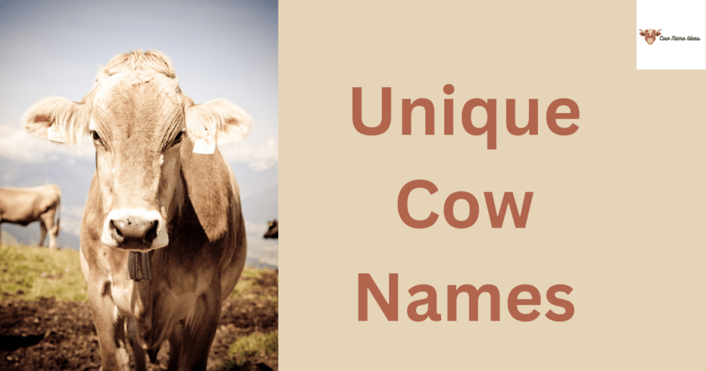 350 Unique Cow Names - Cow Name Ideas